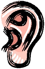 Ear
