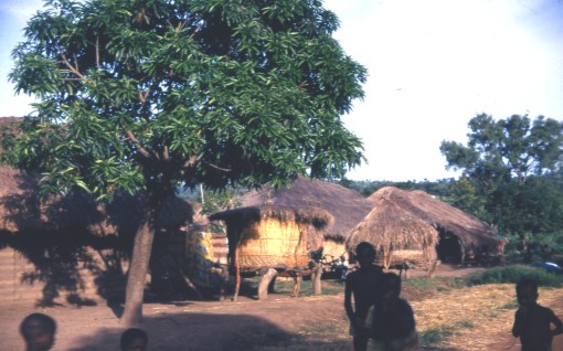 box 1015 Iga village