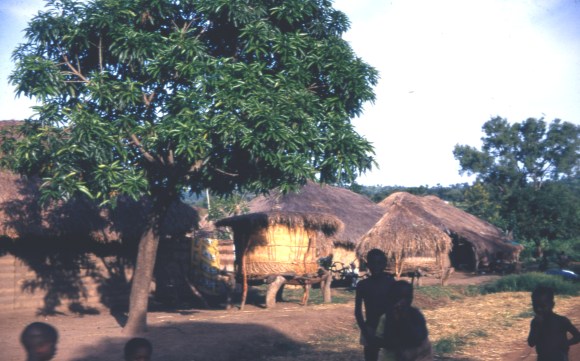 box 1015 Iga village