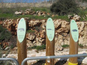 Jerusalem Park: Hopefully not full of Hyenas!