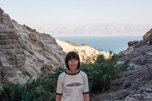 Nahal David with Dead Sea in background