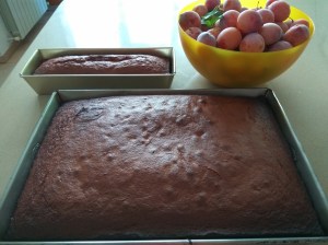 honeycakeandplumsreduced