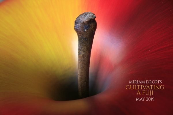 Announcement Banner for Cultivating a Fuji