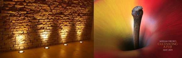 The Marriage of Uplit and Cultivating a Fuji